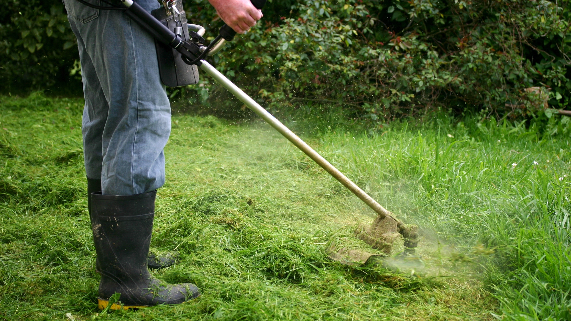 Weed Control Ogden