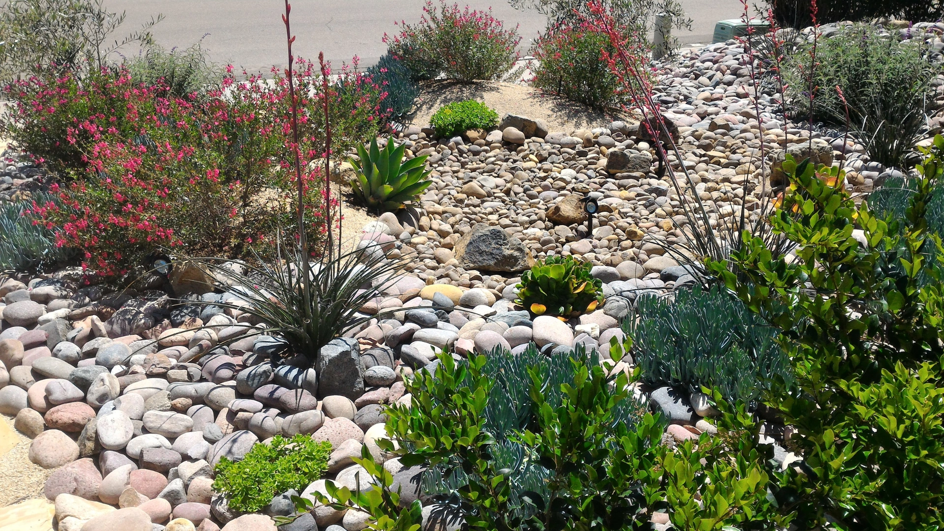 Xeriscape Ogden