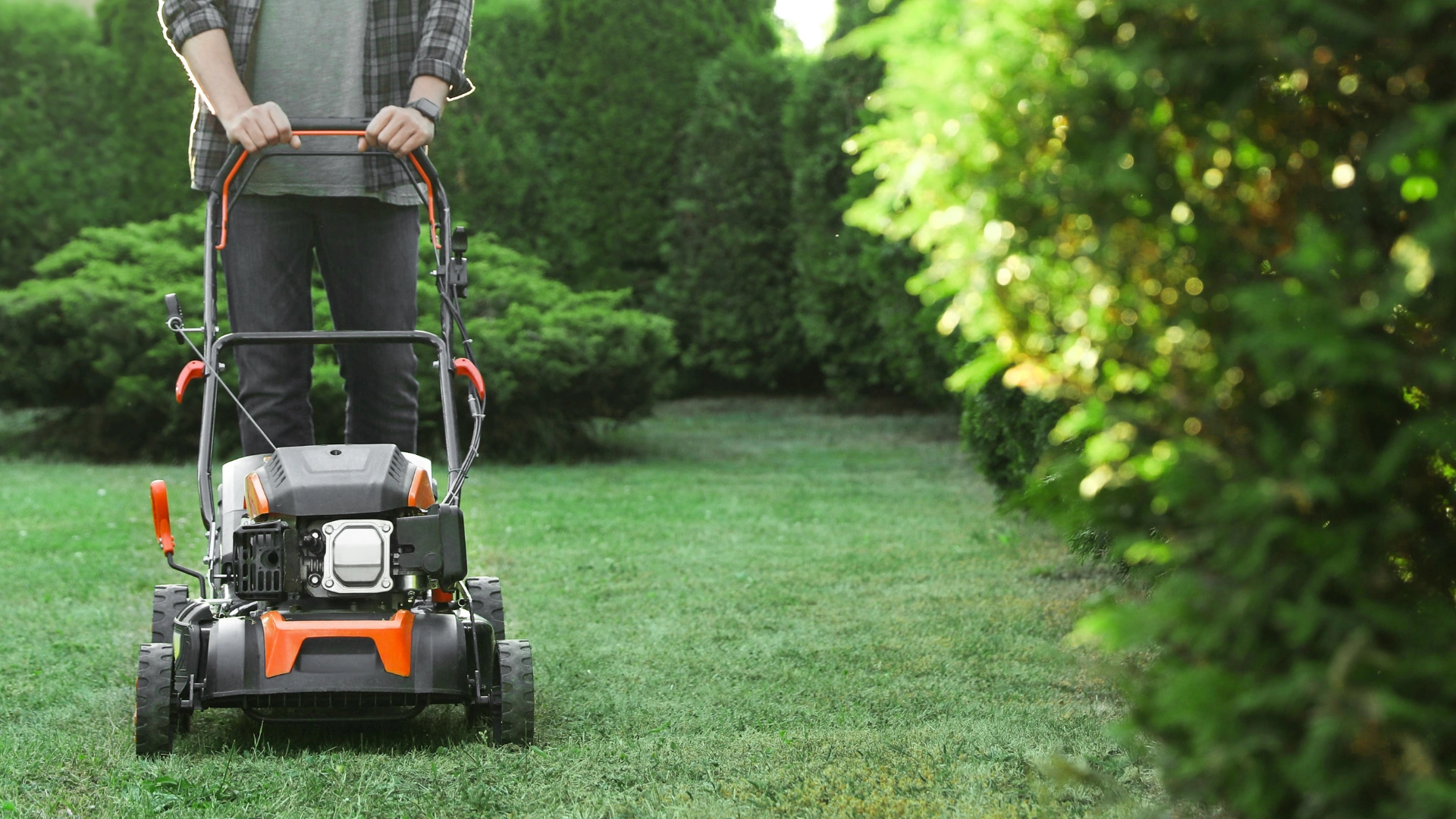 Lawn Care Ogden Utah