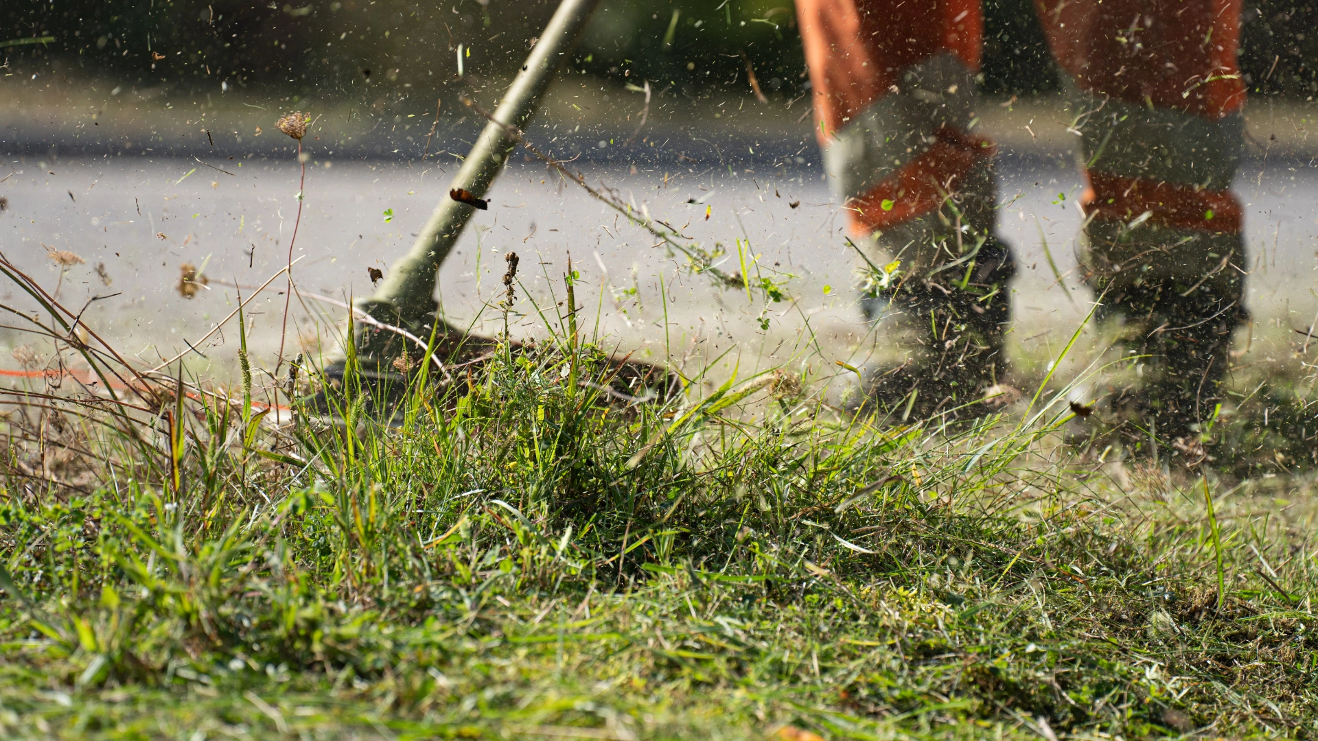 Lawn Care Kaysville