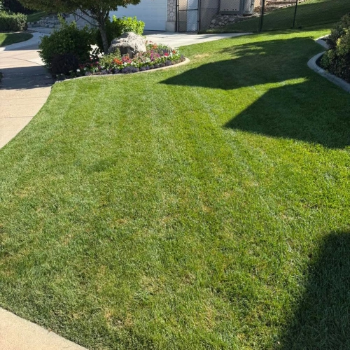 sod installation ogden ut