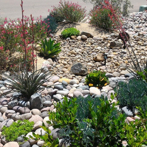 xeriscape ogden