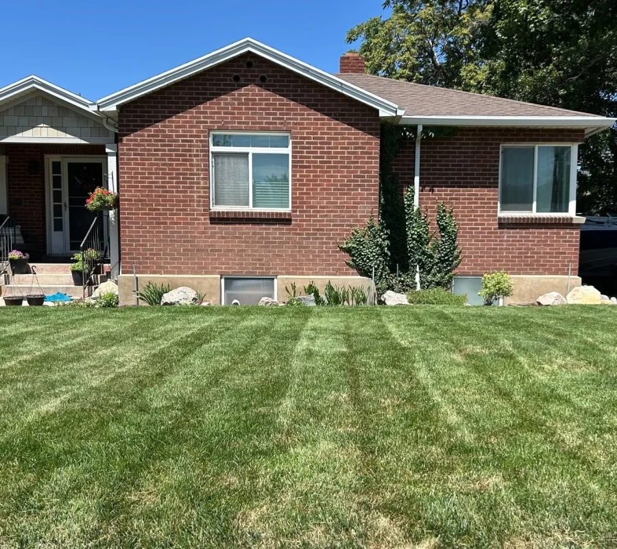 Local Lawn Service Kaysville Ut