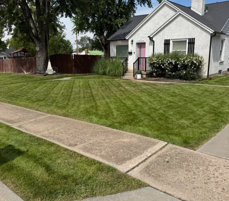 Lawn Care Service Riverdale