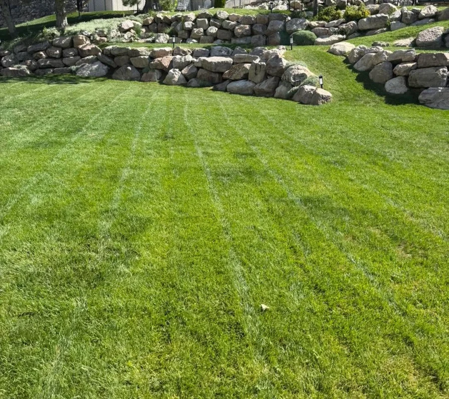 landscaping bountiful