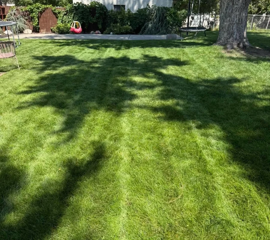 Lawn Care Services Bountiful