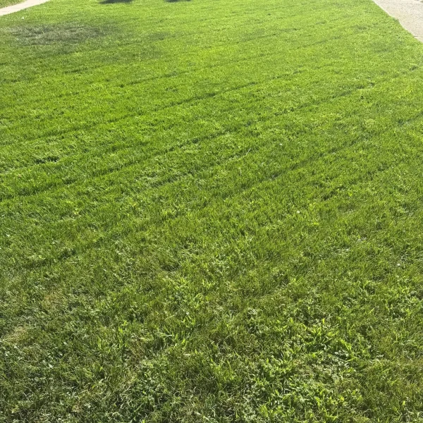Bountiful Lawn Care