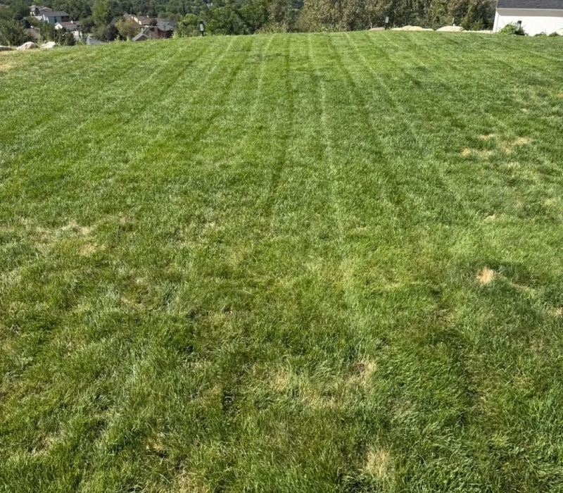 Lawn Care Riverdale